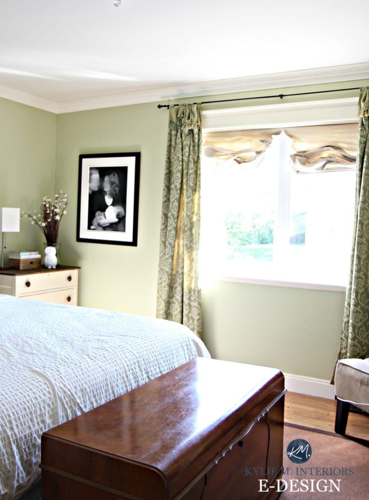 Best green paint colour. Benjamin Moore Fernwood Green. Kylie M Interiors E-design blog