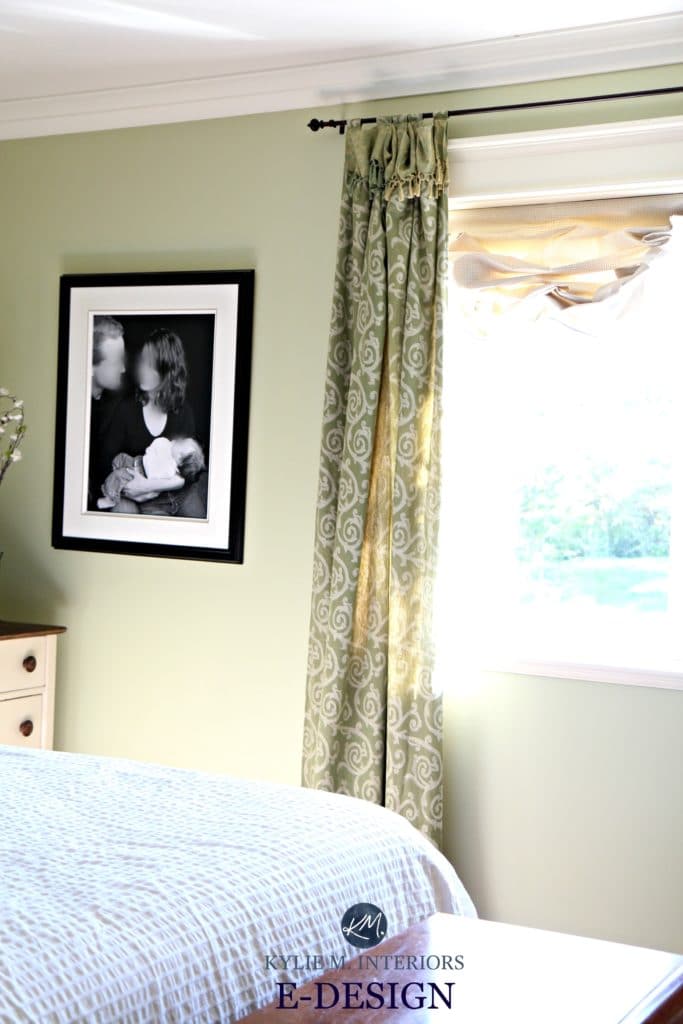 Best green paint colour. Benjamin Moore Fernwood Green. Kylie M Interiors E-design blog and Online Color consultant and expert