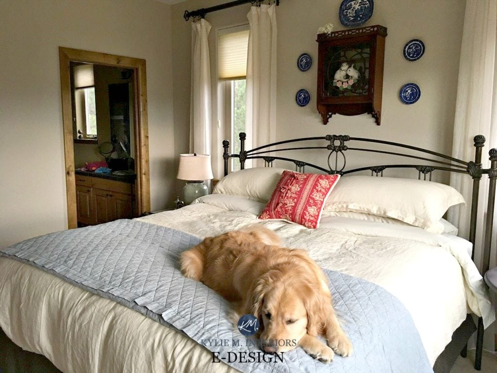 Sherwin Williams Accessible Beige in country farmhouse style guest bedroom, wood trim, neutral bed linens. Kylie M E-design and ONline Color consulting