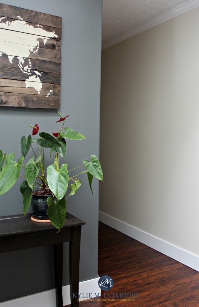 Benjamin Moore Amherst Gray and similar to Albscent. Kylie M Interiors E-design