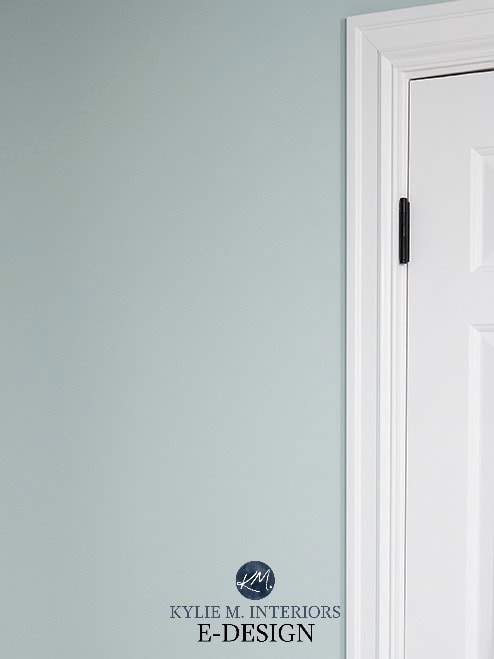 Sherwin Williams Sea Salt with white trim. Kylie M INteriors Edesign colour review
