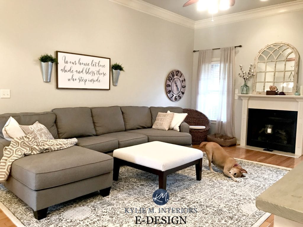 Sherwin Williams Agreeable Gray in living room with gray sectional couch, area rug, fireplace, mirror. KYlie M E-design and Online Color consulting