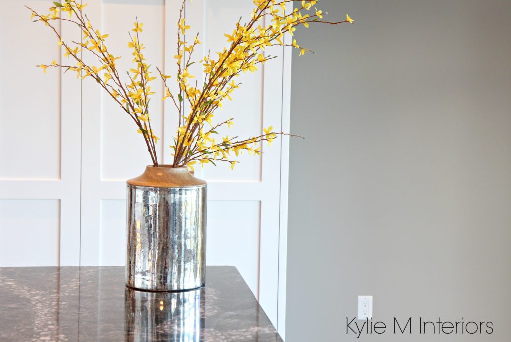 Sherwin Williams Dorian Gray, similar to Collonade Gray. By Kylie M Interiors Decorating and Design Blog, E-design and decor services