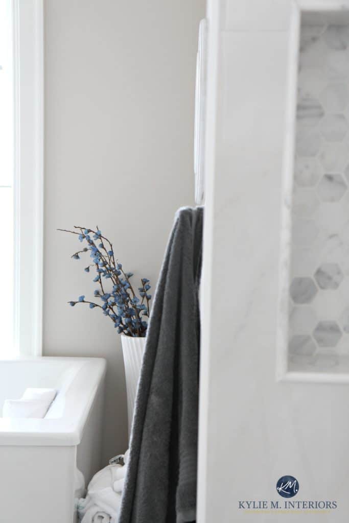 benjamin-moore-balboa-mist-marble-accent-tile-in-bathroom-kylie-m-interiors-decorating-and-design-edesign-and-online-color-consulting