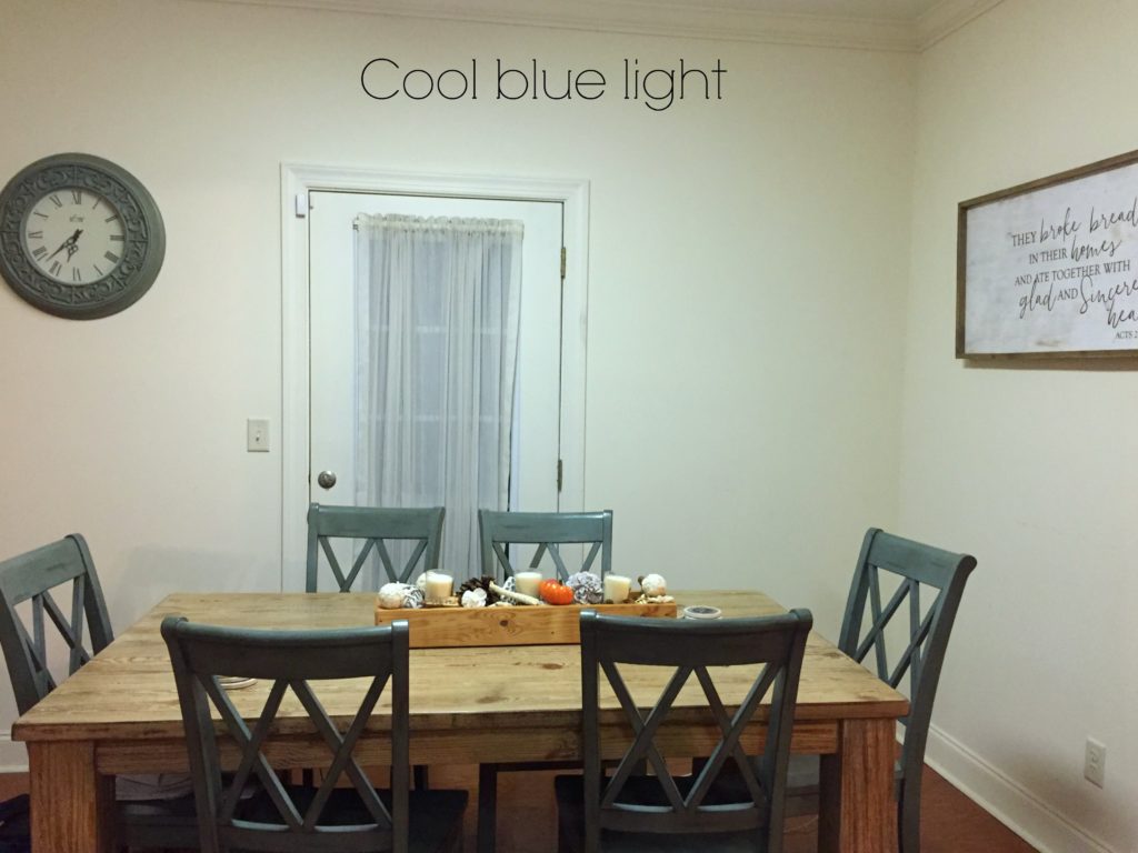 fluorescent-lighting-is-a-cold-blue-light-that-enhances-blue-and-green-and-dulls-warm-colours-kylie-m-interiors