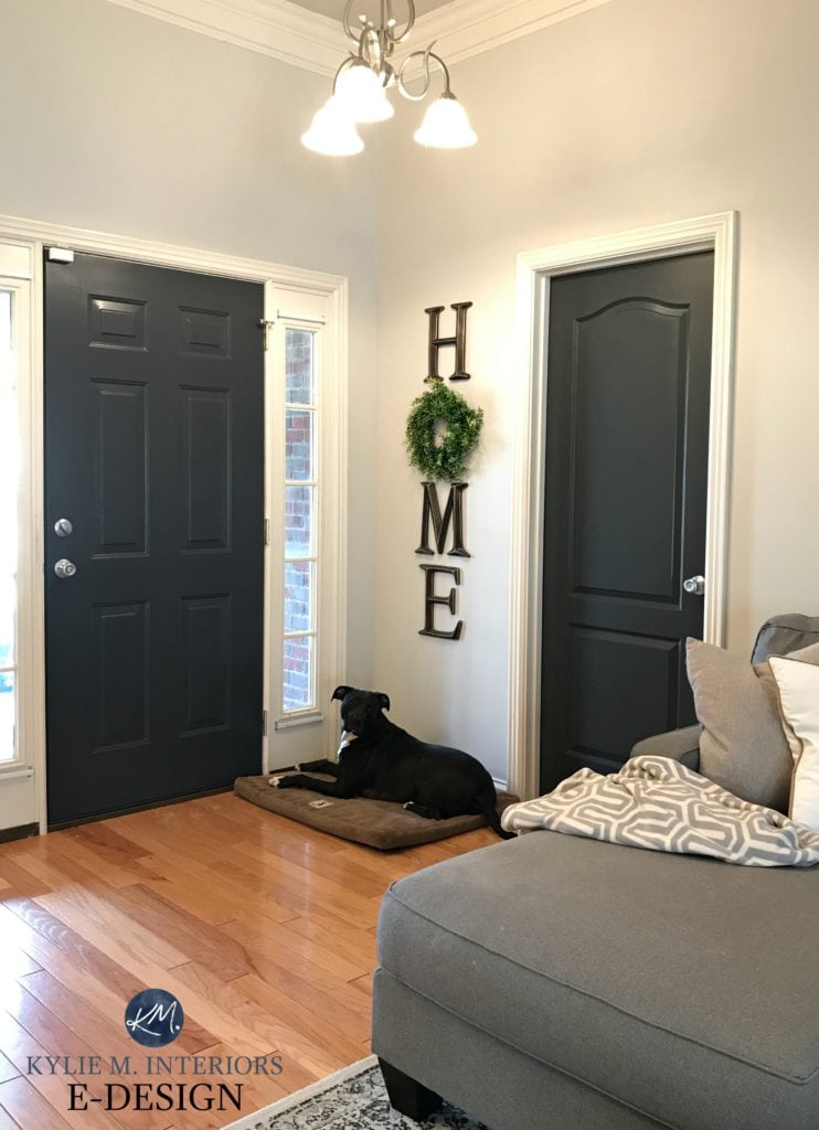 Interior front door painted Sherwin Williams Iron Ore, Kylie M E-design, red oak flooring. Agreeable Gray paint colour, white trim