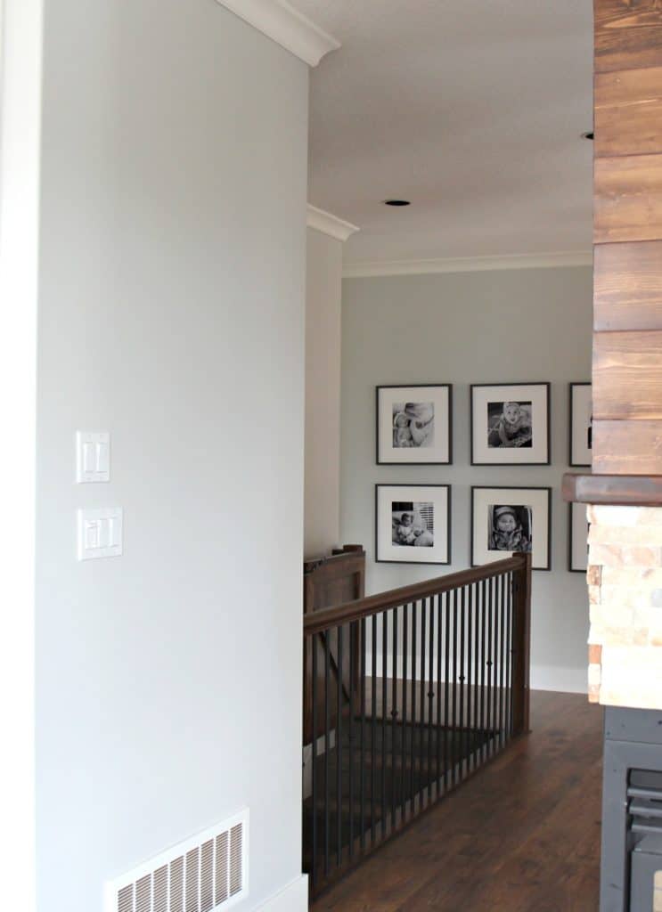 Benjamin Moore Gray Owl and how the undertone changes with natural lighting. Kylie M Interiors E-design, colour consulting