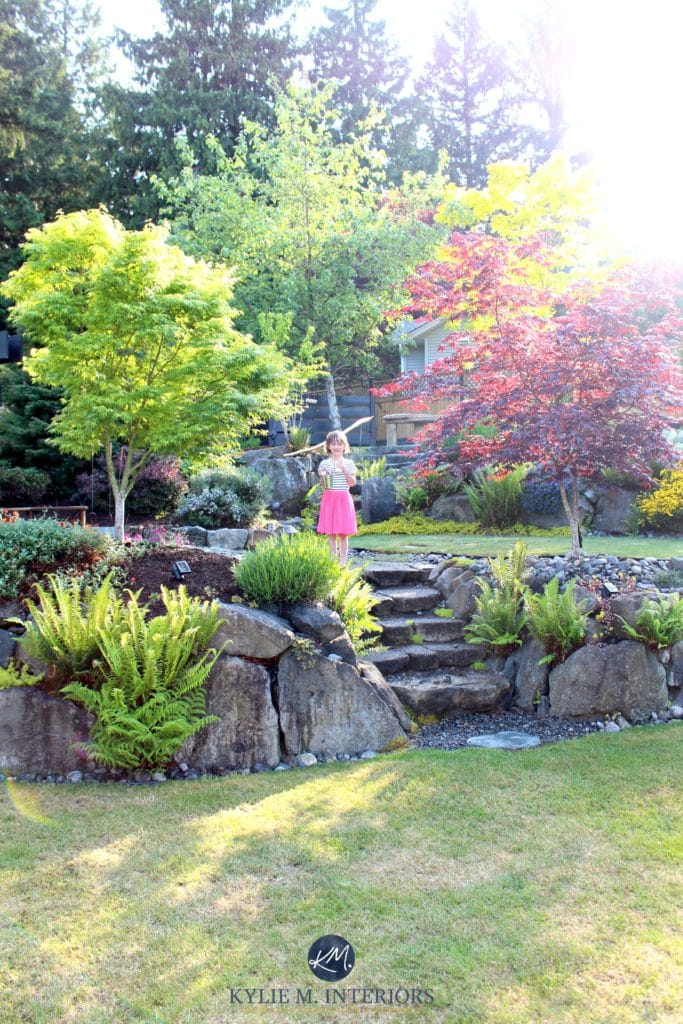 Beautiful backyard landscaping with stone steps and large boulders, ferns and maple trees