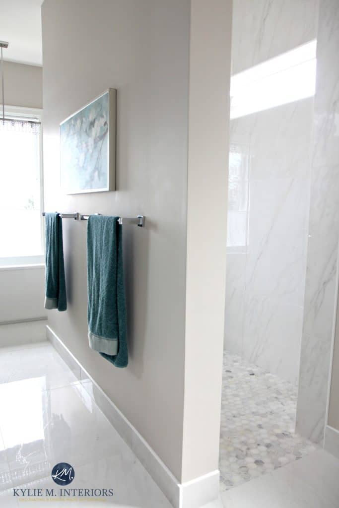 Walk in shower in ensuite bathroom. Marble porcelain floor, hexagon mosaic shower accents, Benjamin Moore Balboa Mist with teal accents. Kylie M Interiors