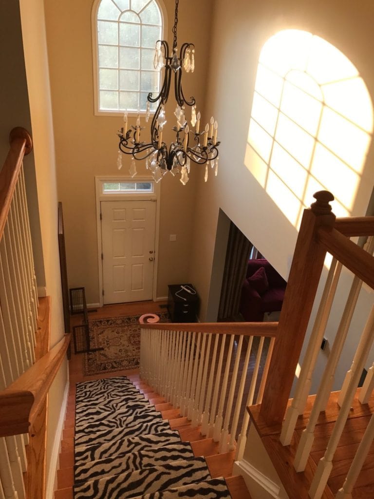 Warm, south facing room