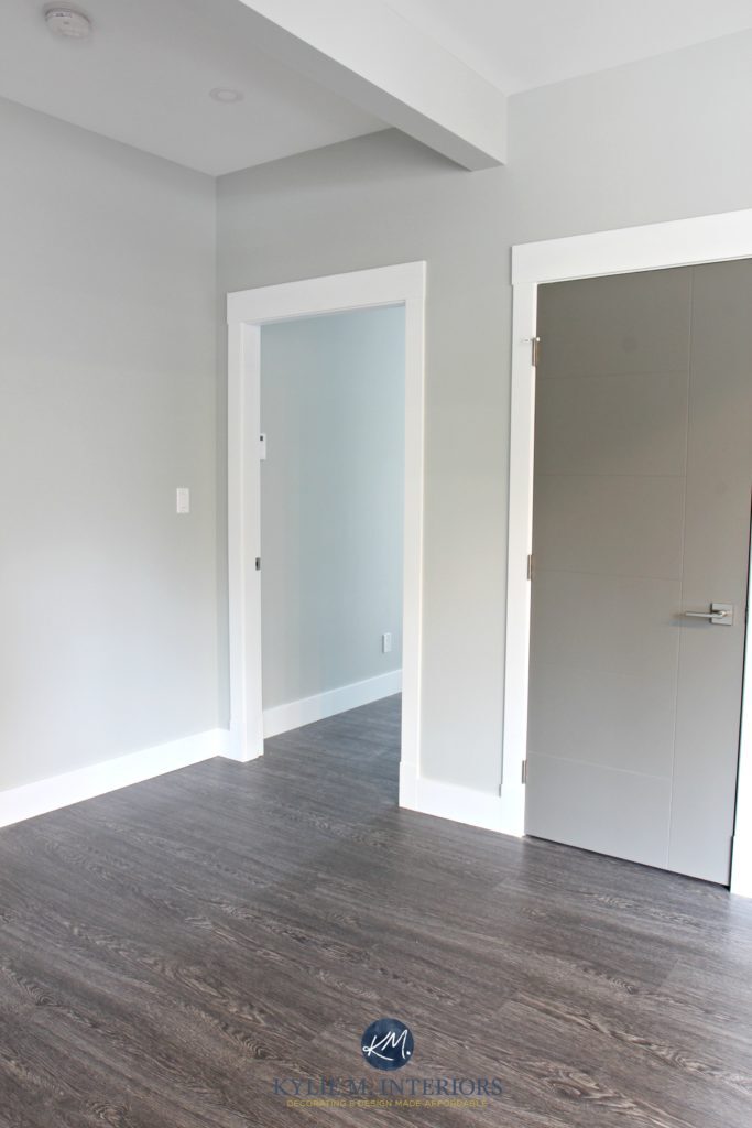 Benjamin Moore Stonington Gray hallway with white trim and Chelsea Gray painted door. Kylie M Interiors Colour Consultant online