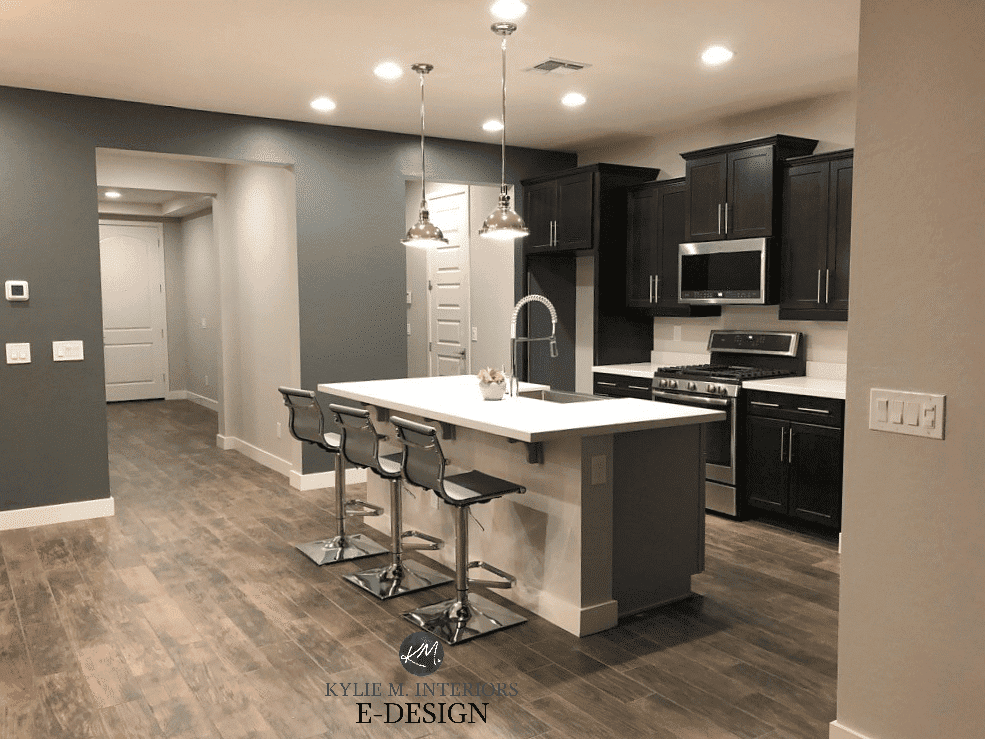 Dark basement room best paint colours, Sherwin Williams Grizzle Gray, Agreeable Gray, tile look wood floor. Kylie M Interiors Edesign, online paint color consulting (2)