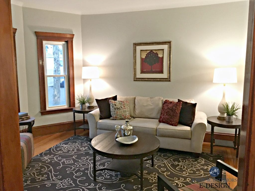 Home staged living room Sherwin williams big chill. Kylie M Interiors E-design