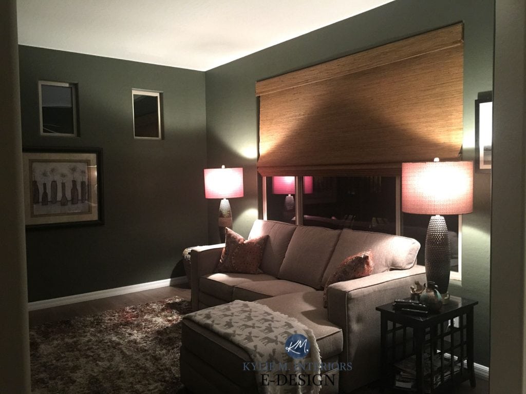 Sherwin Williams Cast Iron best dark green paint colour for dark basement or room Kylie M Interior