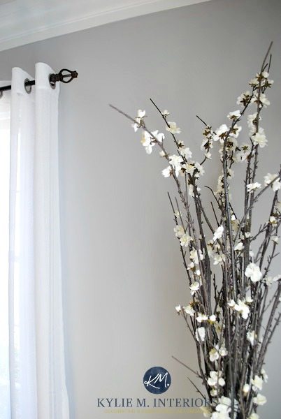 Sherwin Williams Silverplate. E-design and Online Colour Consultations Kylie M INteriors