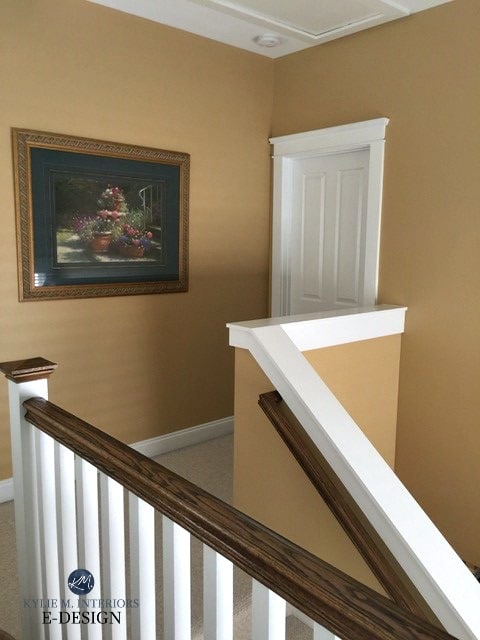 Benjamin Moore Decatur looking paint colour with white trim in hallway
