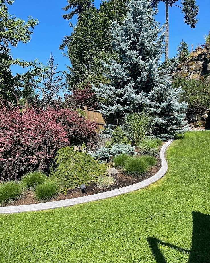 Exterior update, home staging ideas, curb appeal, concrete curb between grass and mulch, evergreens and perenials. Kylie M Ideas