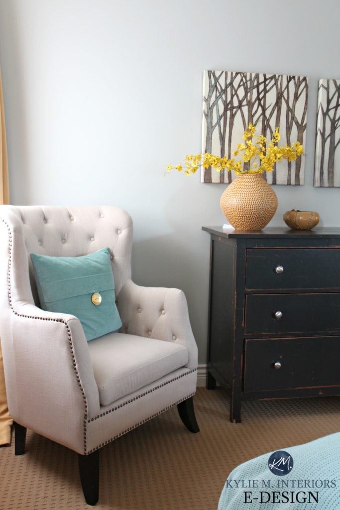 Sherwin Williams Silver Strand gray paint color review. Kylie M INteriors E-design