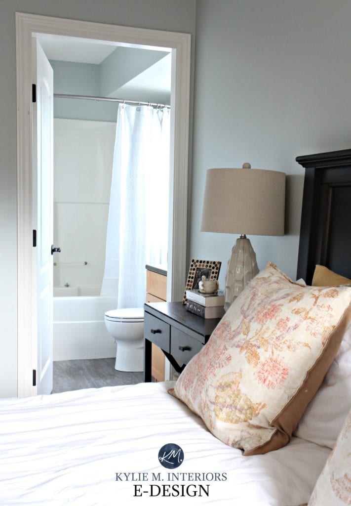 Sherwin Williams Silver Strand paint colour review. Kylie M E-design, online paint consultant. south facing and east facing