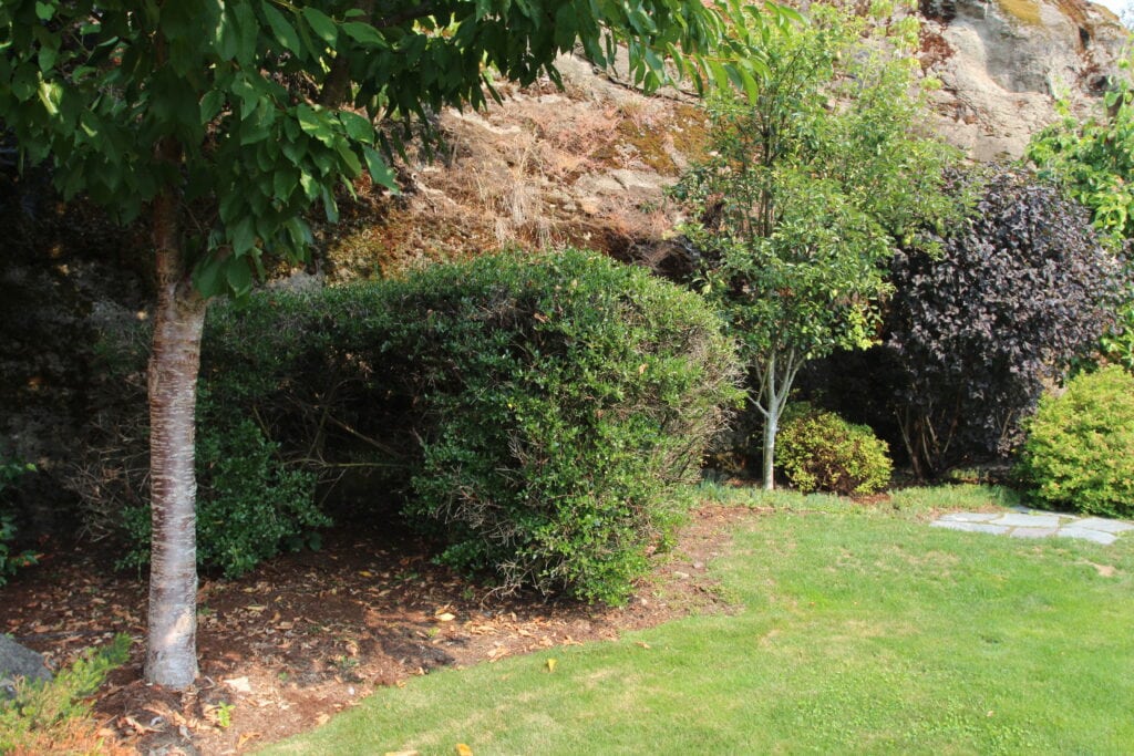 exterior before