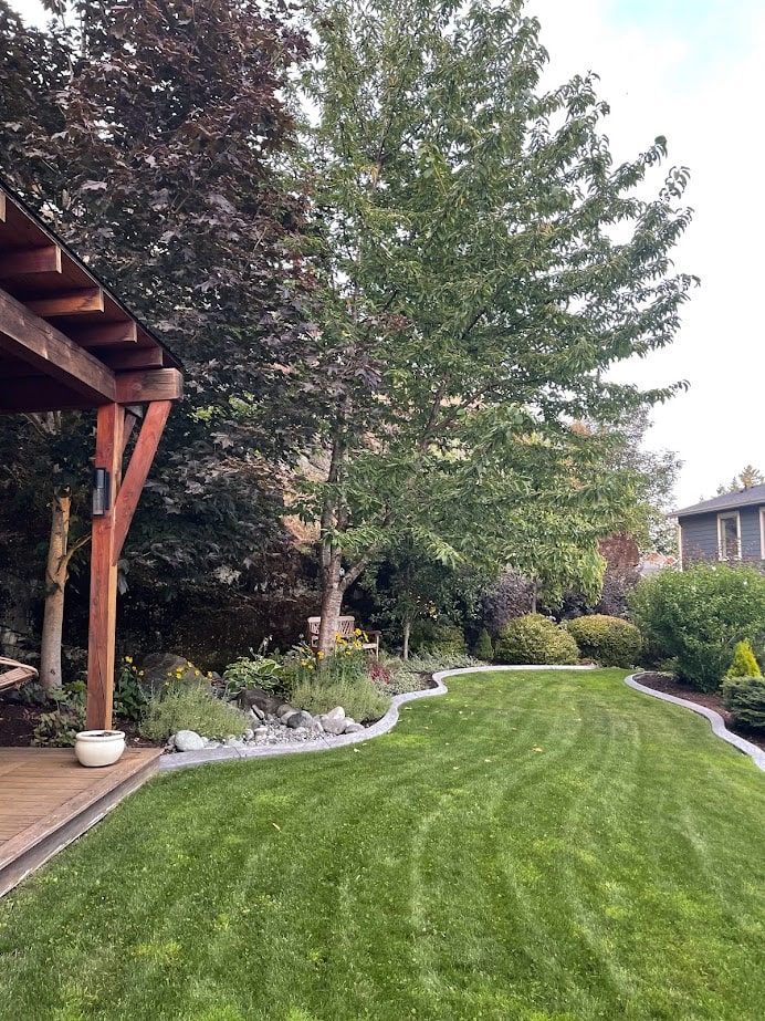 exterior update, concrete curbing between grass and garden beds, mulch, evergreens, perenials, annuals, west coast back yard. Kylie M Interiors