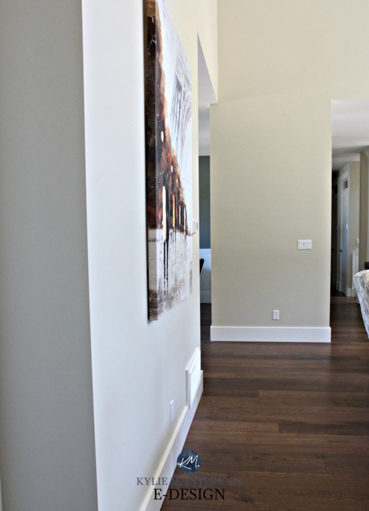 Sherwin Williams Wool Skein, beige tan paint colour with undertones. Cloud White Trim, dark wood oak flooring. Kylie M Interiors Edesign, online paint colour consulting expert