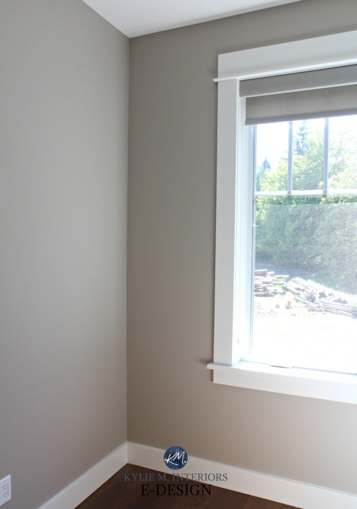 Sherwin Williams Balanced Beige, south facing room. Kylie M Interiors Edesign, online virtual paint color consultant. Best beige, greige paint colour