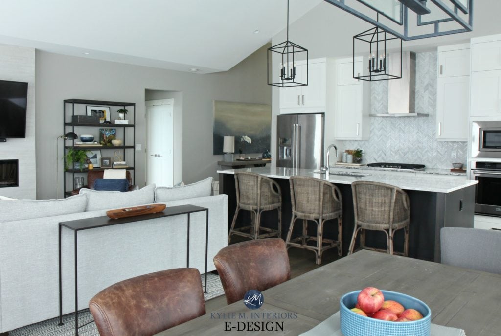 Open layout kitchen, living room and dining room. Kylie M Interiors Edesign, Sherwin Williams Collonade Gray, Alabaster painted white cabinets. Large island and transitional home decor with - Copy