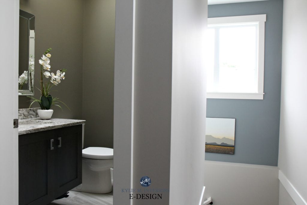 Paint colour palette including Sherwin Williams Collonade Gray, Anonymous in powder room and Benjamin Moore Gibraltar Cliffs feature wall. Kylie M INteriors Edesign, online paint color consultant