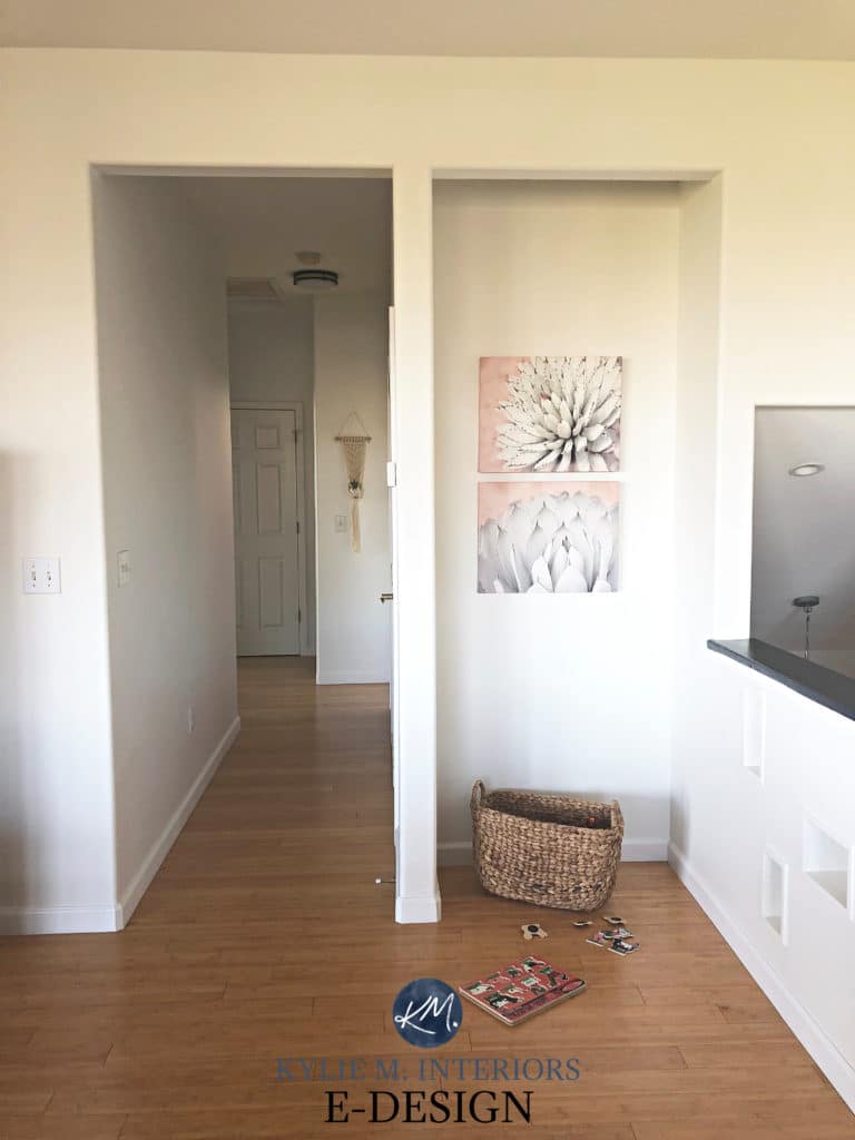 Sherwin Williams Pure White in a north facing room. Kylie M INteriors paint colour consultant review. Blogger.jpg