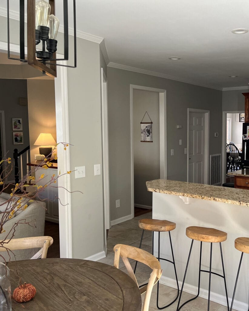 Sherwin Williams Repose Gray with St. Cecelia, Venetian Gold look granite countertops, too gray walls. Kylie M Edesign