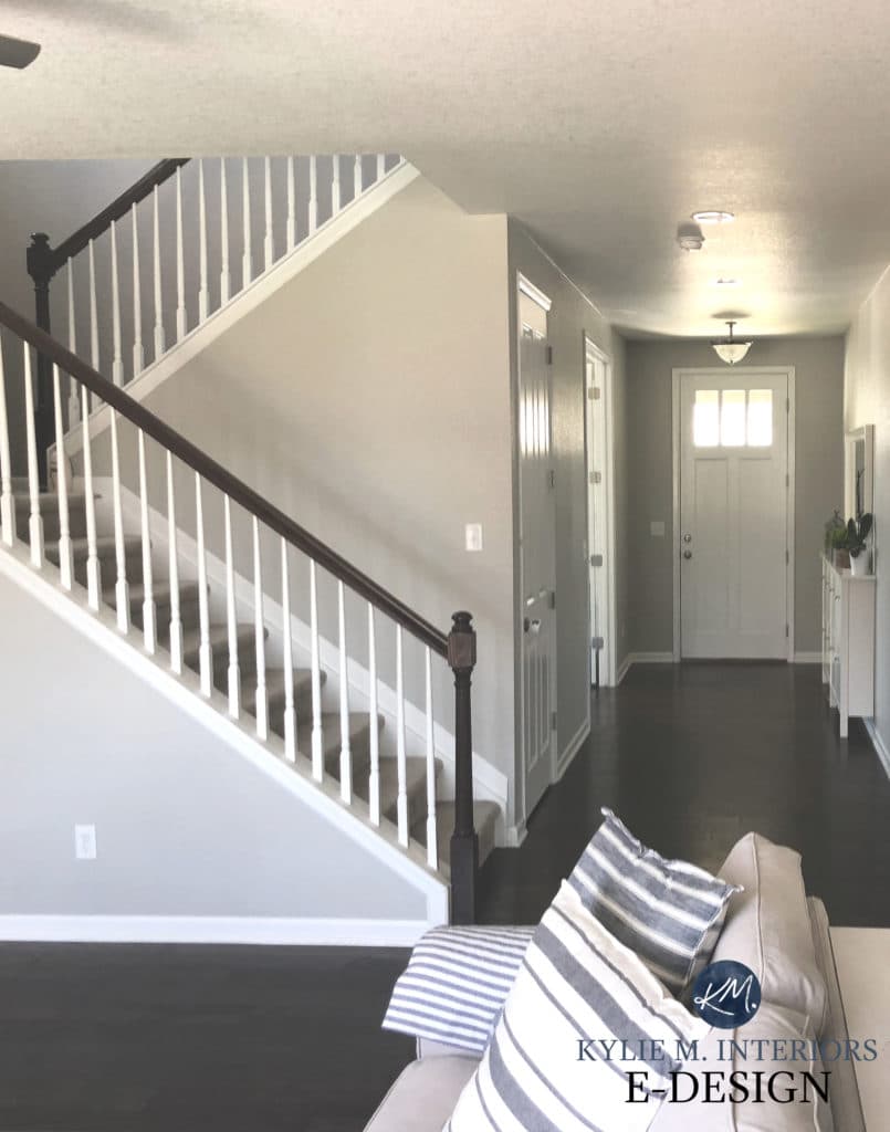 Sherwin Williams Repose Gray, dark wood flooring. White stair railing. Kylie M Interiors Edesign, diy blogger and online paint colour consultant