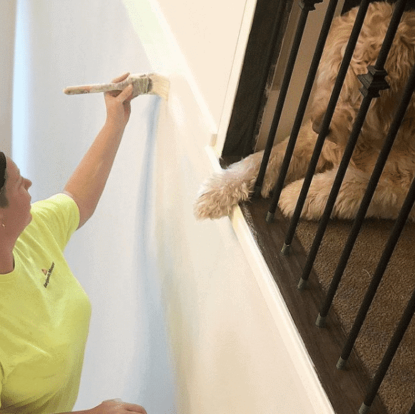 questions to ask when hiring a painter for your home. Kylie M INteriors Edesign