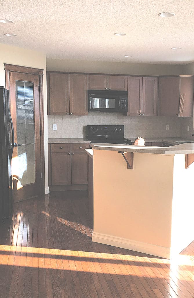 Maple kitchen cabinets BEFORE painting with edesign, beige laminate countertops (2)