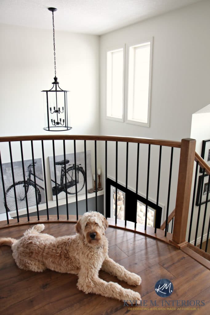Curved landing at the top of the stairs with chandelier, golden doodle and Sherwin Williams Creamy by Kylie M INteriors