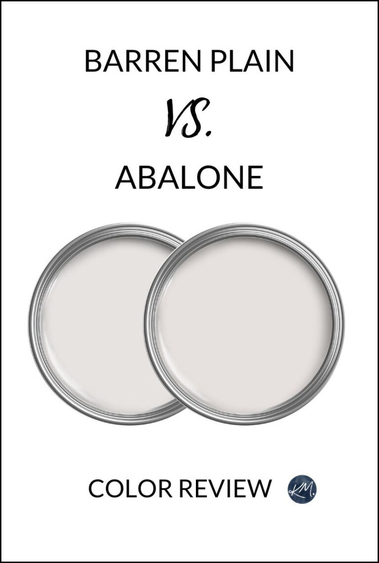 BENJAMIN MOORE BARREN PLAIN AND ABALONE PAINT COLOR REVIEW GRAY PURPLE UNDERTONES (1)