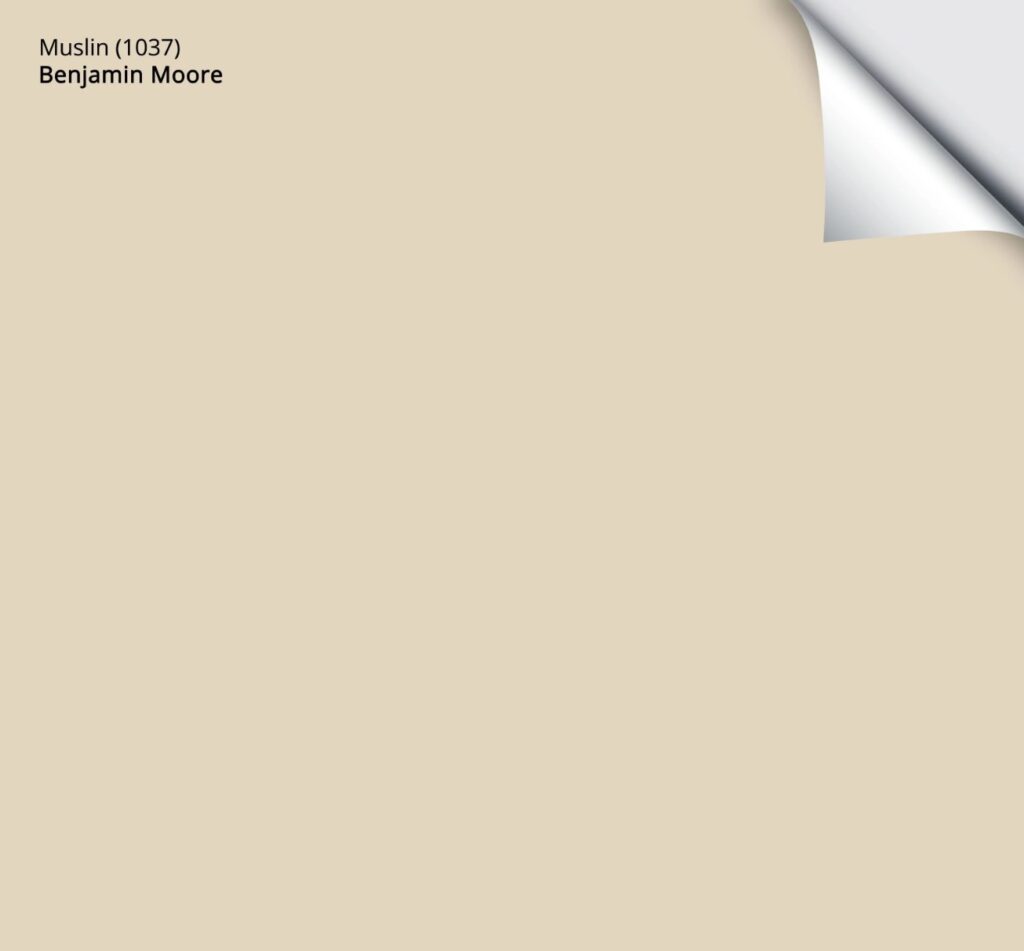 samplize peel and stick benjamin moore muslin