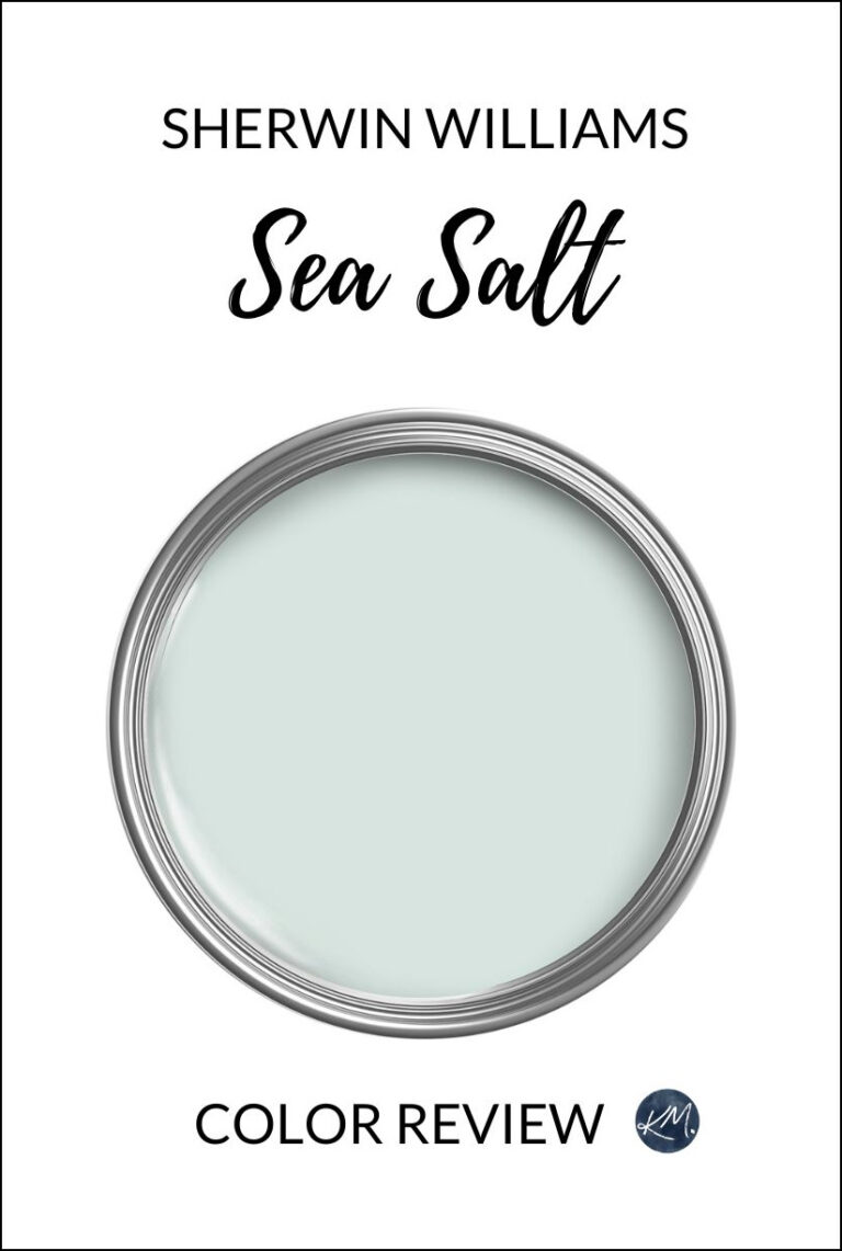 Sherwin Williams Sea Salt, popular green gray blue paint color review by Kylie M, online paint color consulting.