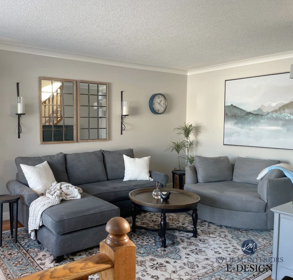 Rodeo, Benjamin Moores best warm gray paint color. Living room, gray furniture. Kylie M Interiors Edesign, diy decorating blogger