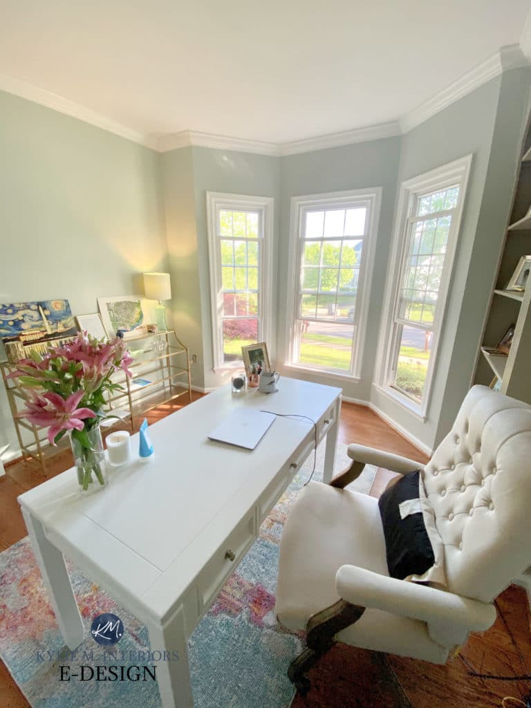 Sherwin Williams Sea Salt in home office, light bulbs. Kylie M Interiors Edesign, diy decorating blogger, advice and consulting