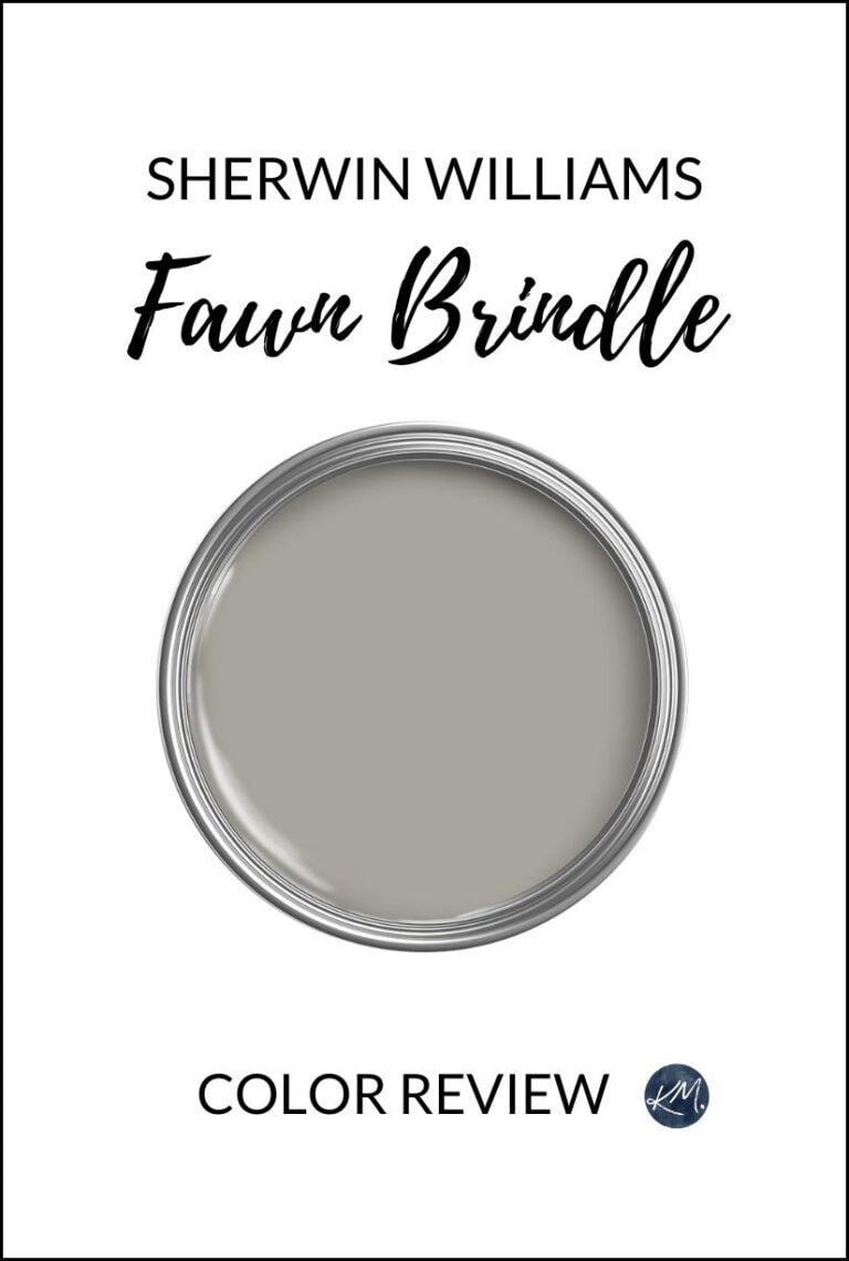 sHERWIN wILLIAMS FAWN BRINDLE BEST GREIGE TAUPE PAINT COLOR, WARM GRAY, KYLIE M INTERIOR COLOR REVIEW