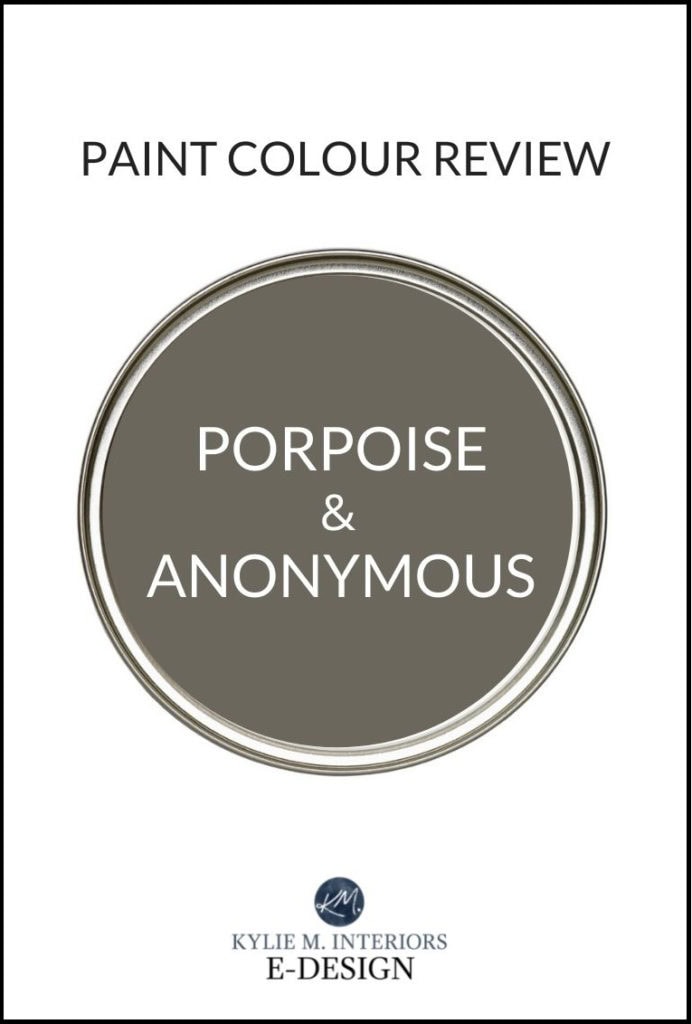 paint colour review, Sherwin Williams Anonymous and Porpoise, dark greige. Kylie M INteriors online paint color consultant