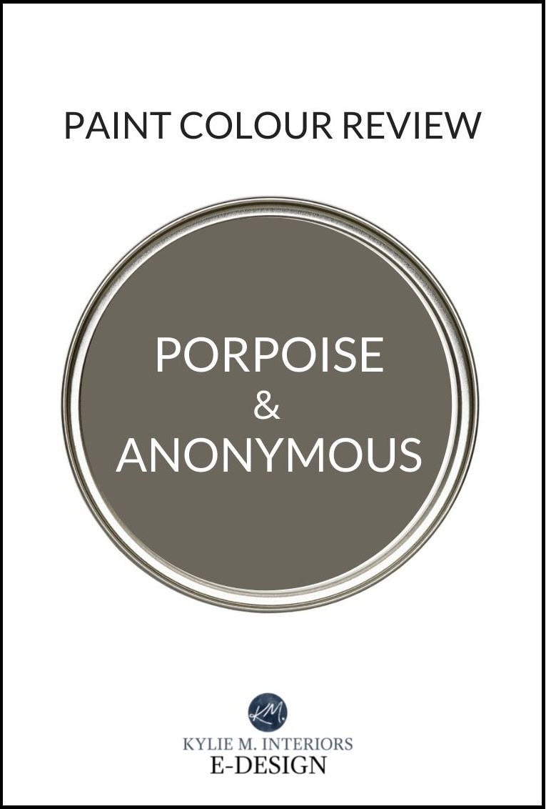 paint colour review, Sherwin Williams Anonymous and Porpoise, dark greige. Kylie M INteriors online paint color consultant