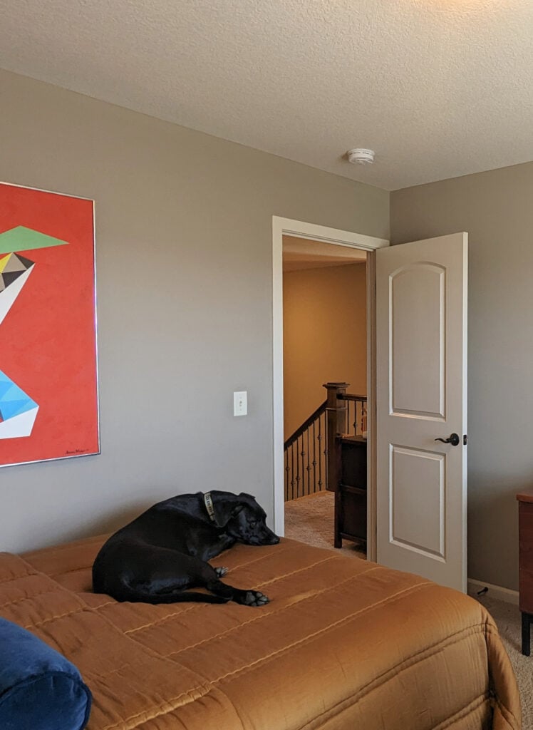 Sherwin Williams Natural Tan in bedroom, beige taupe carpet, Taupe Tone paint color on walls, mid century modern art and style furniture (1)