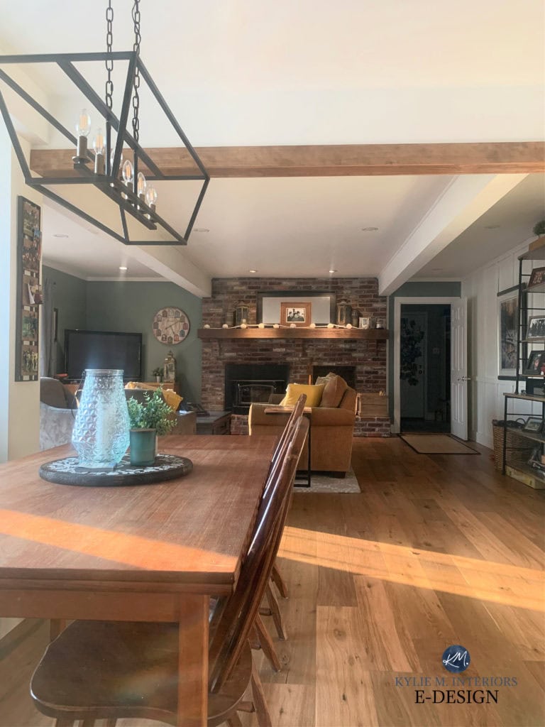 Sherwin Williams Pewter Green in living room with red brick fireplace and wood floors. Kylie M Interiors Edesign