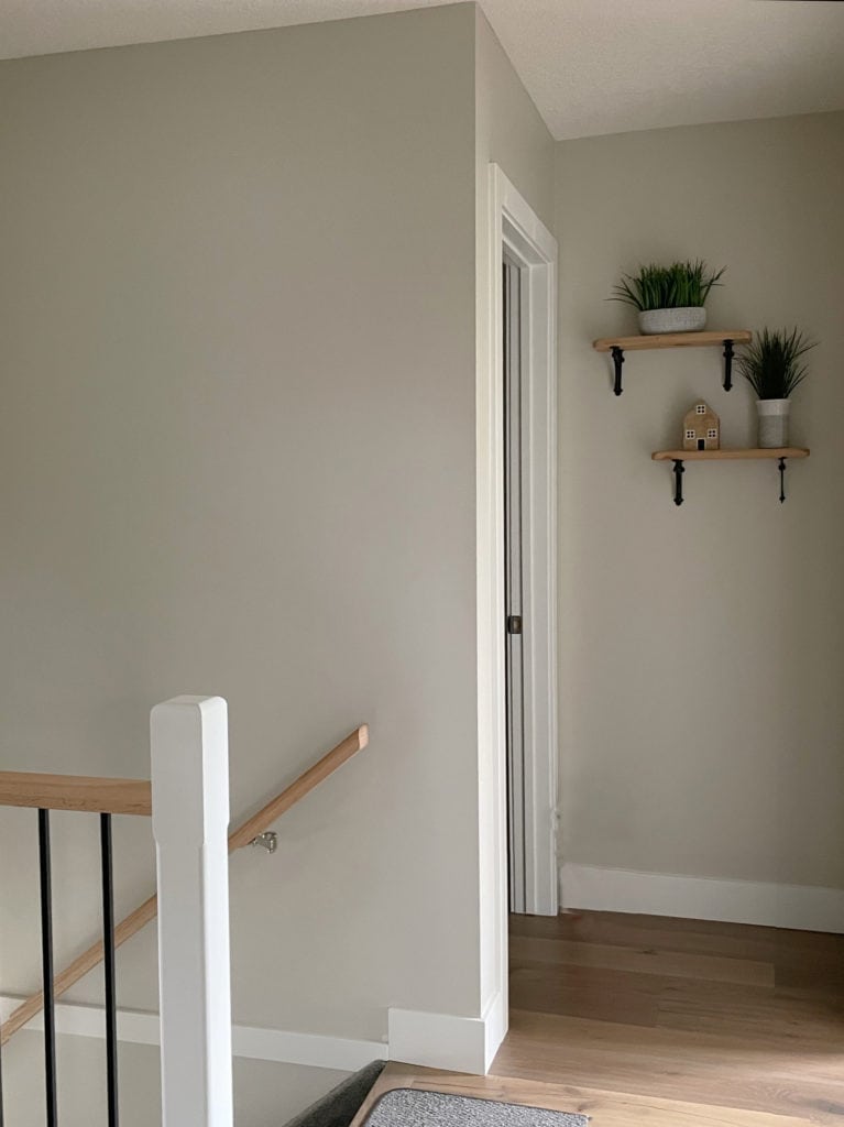 Benjamin Moore Rodeo, warm gray paint colour similar to Revere Pewter, white trim, wood floor. Kylie M.