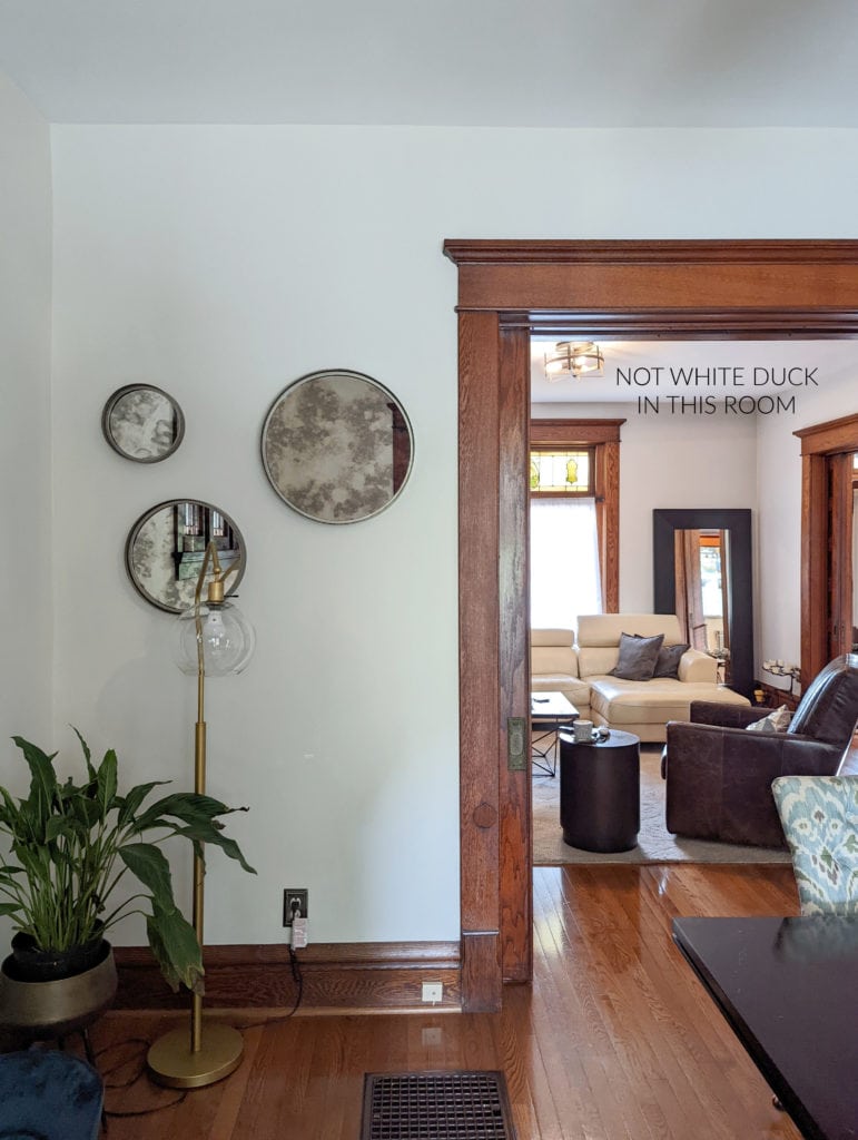 Sherwin William White Duck, warm neutral paint color with dark wood trim and floor. KYlie M.