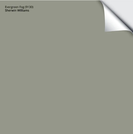 Sherwin Williams Evergreen Fog, peel and stick samplize with Kylie M