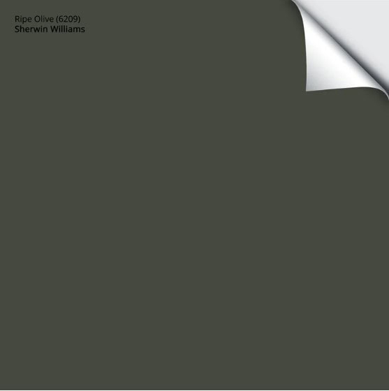 Sherwin Williams Ripe Olive, popular dark green paint colour. Kylie M's colour of the year