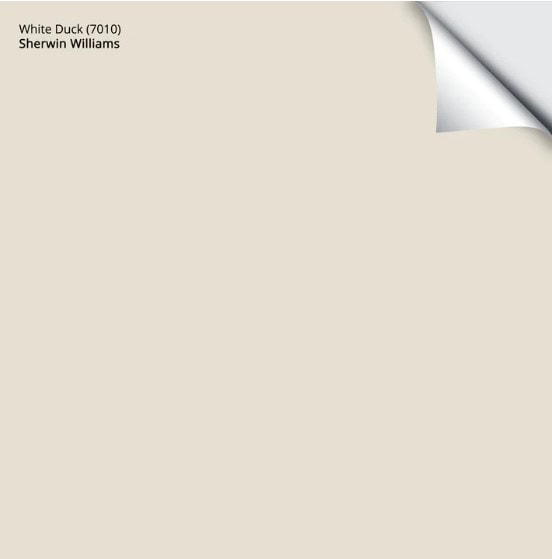 Sherwin Williams White Duck, off white cabinet colour, peel and stick sample with Kylie M